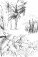 /album/el-paisaje-natural-/paisaje-natural13-jpg/